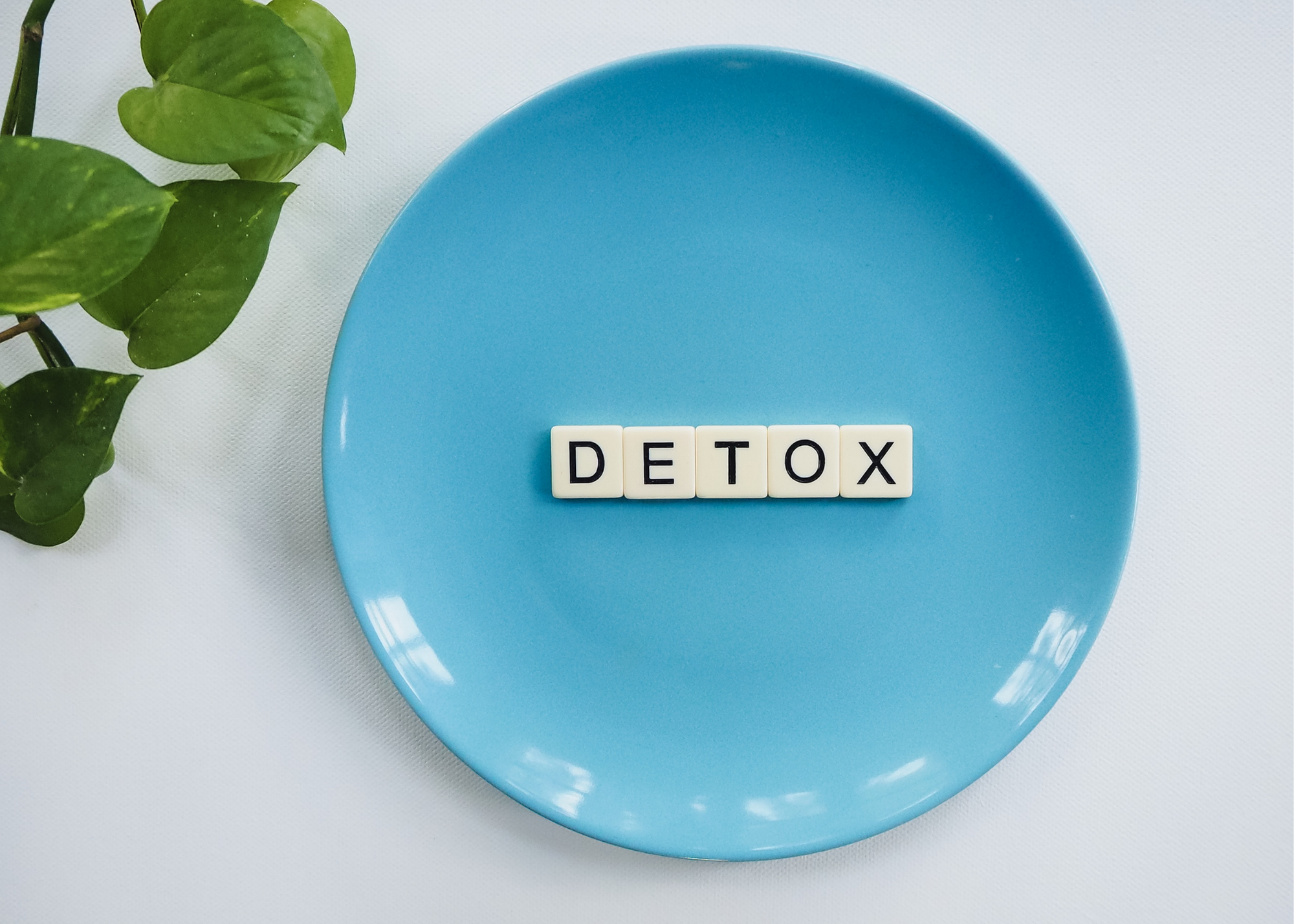 Detox program