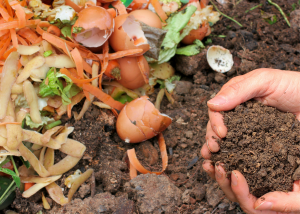 Composting efforts